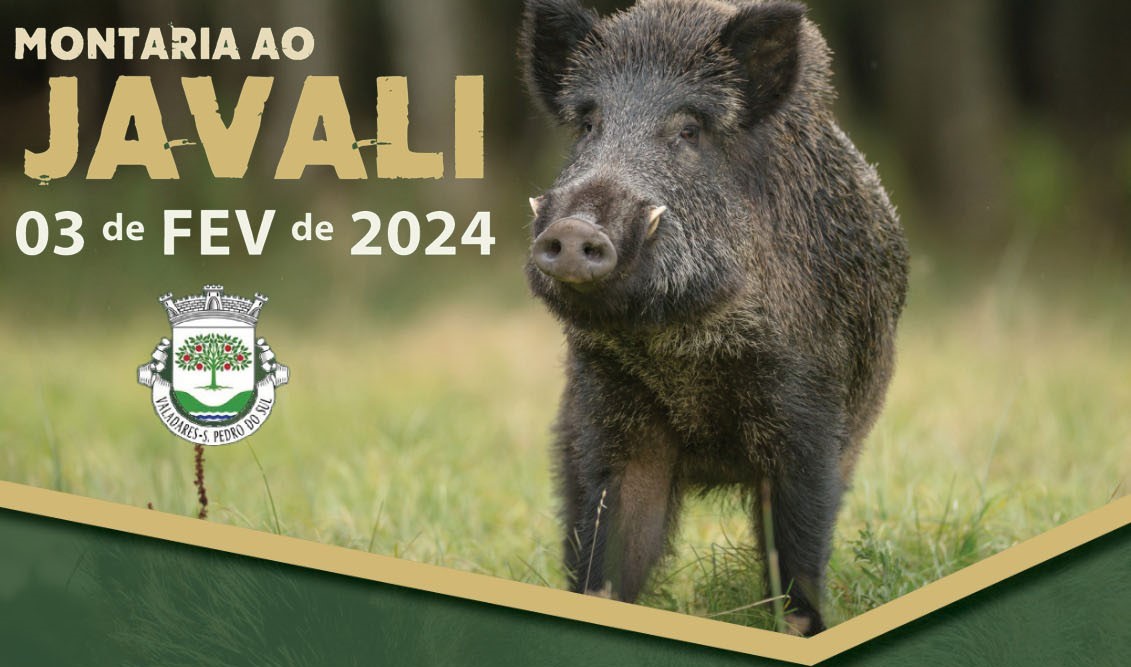 Read more about the article Montaria ao Javali – 3 fev 2024